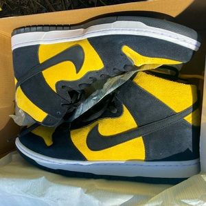New! Nike sb dunk high pro size 13